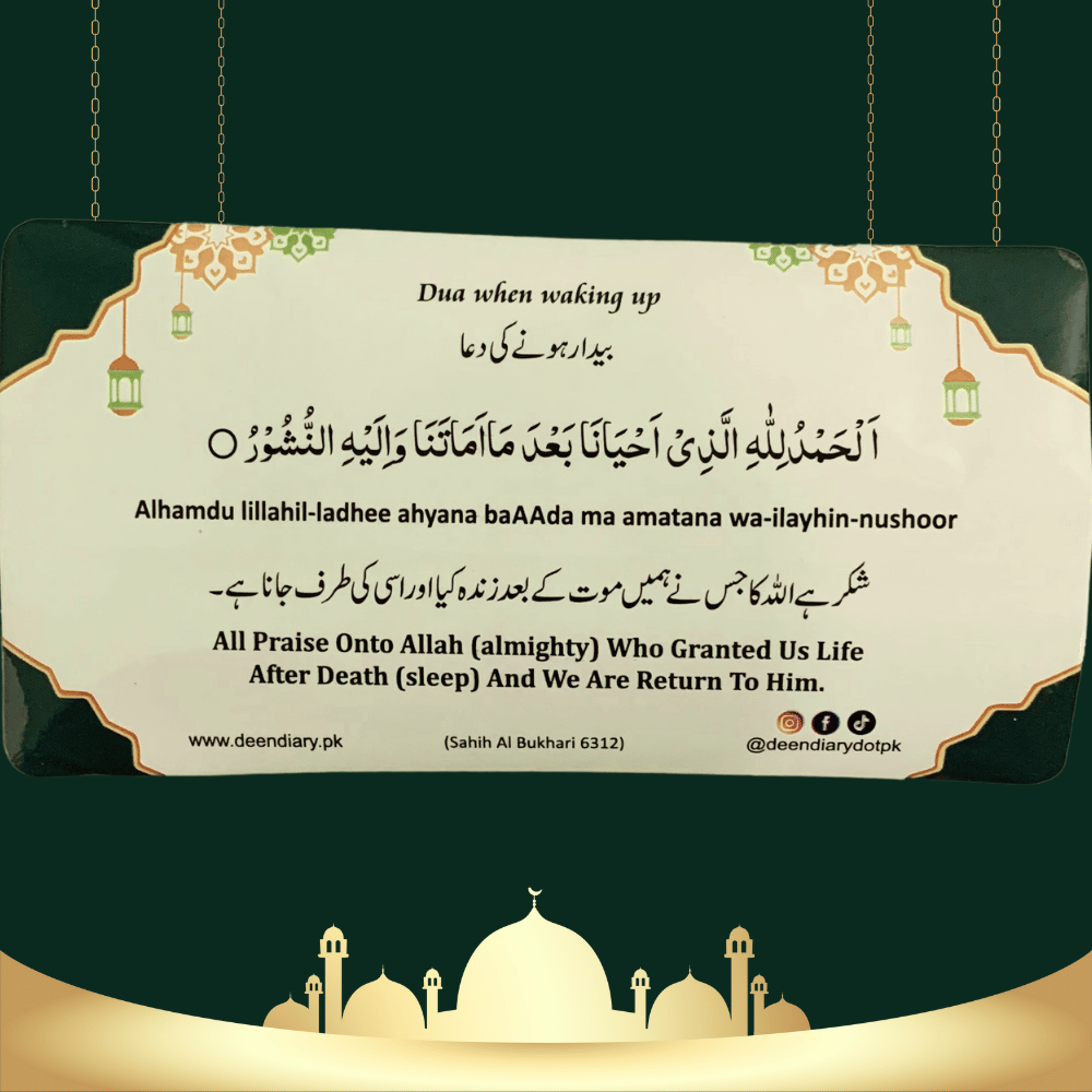 Choose Your Own Multiple Dua